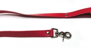 Leather Leash - Red