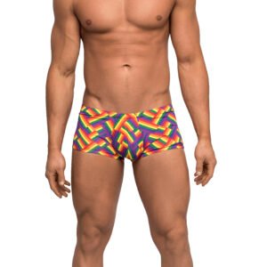 Pride Fest - Mini Short - X-Large - Print