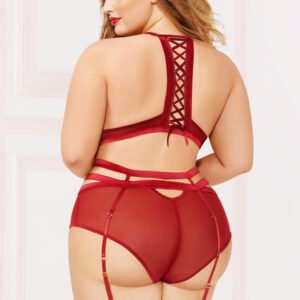 Applique & Mesh Bra Set - 1x2x - Burgundy